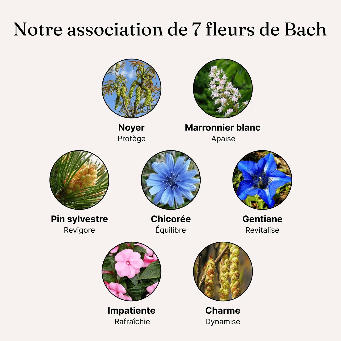 Perte de poids - Fleurs de Bach pour mincir durablement| MADE IN FRANCE